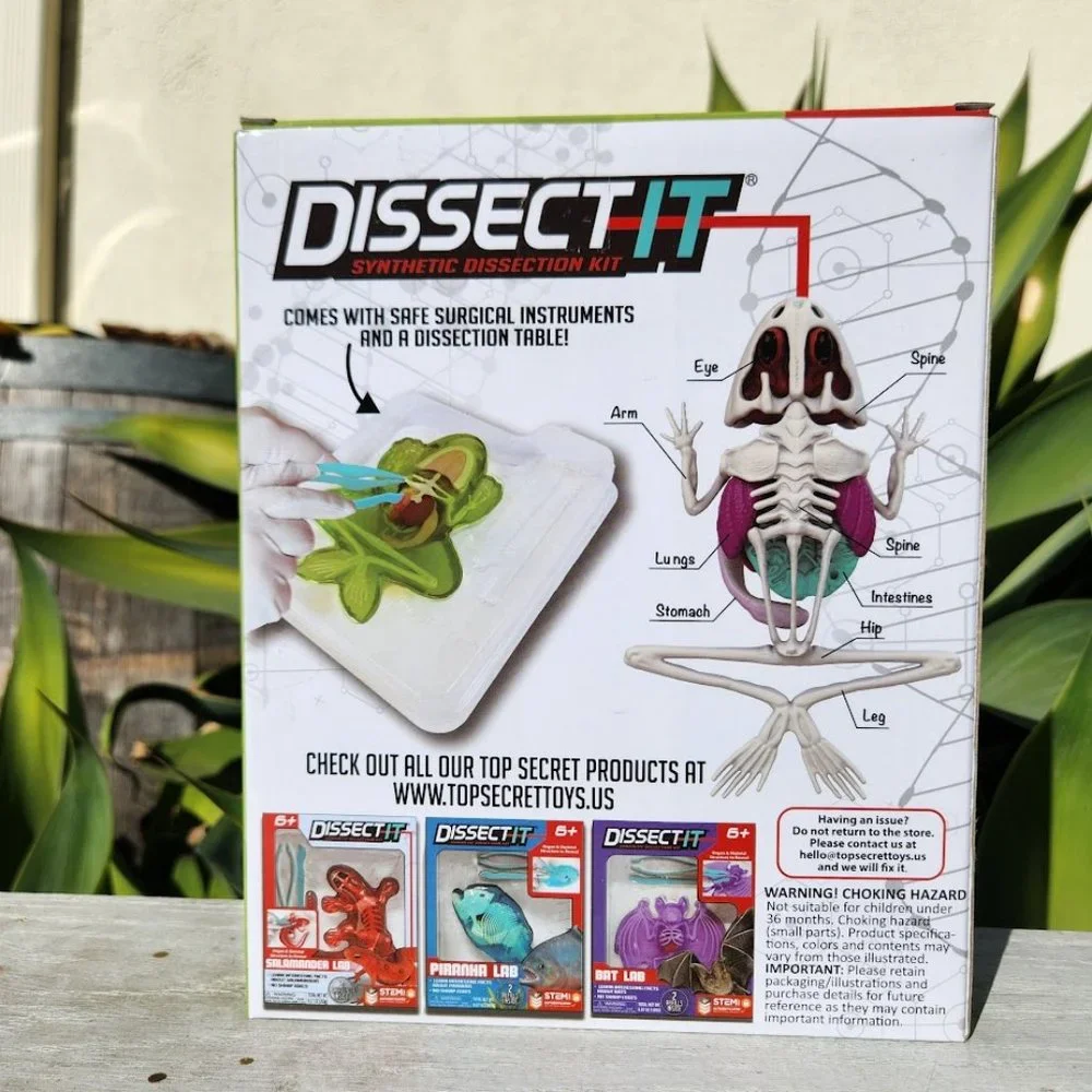NEW Dissect-it Synthetic Lab Dissection Toy STEM KIT CRAFT Project Frog Biology